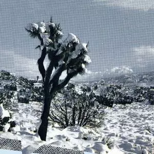 OREN AMBARCHI / KASSEL JAEGER / JAMES RUSHFORD / PALE CALLING