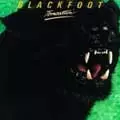 BLACKFOOT / ブラックフット / TOMCATTIN' / 野生の牙(紙ジャケット仕様)