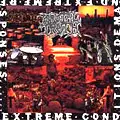 BRUTAL TRUTH / ブルータル・トゥルース / EXTREME CONDITIONS DEMAND EXTREME RESPONSES