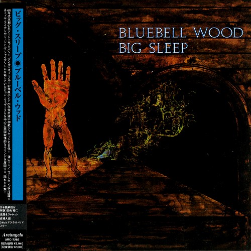 BIG SLEEP / ビッグ・スリープ / BLUEBELL WOOD - 24BIT DIGITAL REMASTER / ブルーベル・ウッド - 24BITデジタル・リマスター