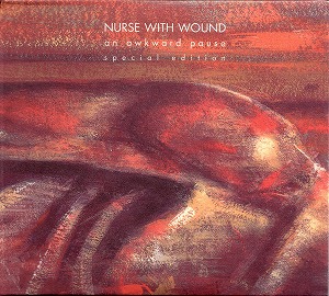 NURSE WITH WOUND / ナース・ウィズ・ウーンド / AN AWKWARD PAUSE (2CD) 