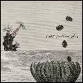 TAPE / テープ / MILIEU PLUS / ミリュー・プラス