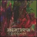 ZOPHORUS/MERZBOW/メルツバウ｜NOISE / AVANT-GARDE｜ディスクユニオン