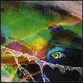SOLID EYE / ソリッド・アイ / VOYAGE TO SEE WHAT'S ON THE BOTTOM