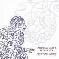 ANDREW LILES / アンドリュー・ライルズ / GONE EVERY EVENING