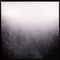 SYLVAIN CHAUVEAU / シルヴィアン・ショヴォ / BLACK BOOK OF CAPITALISM