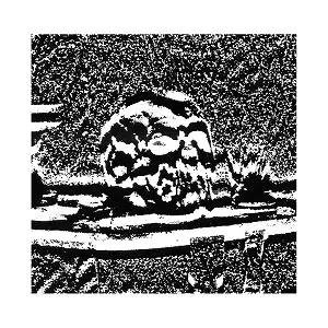 CRAOW / CRAOW