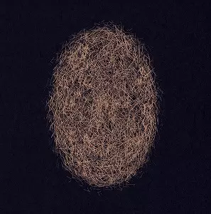 ELI KESZLER / LAST SIGNS OF SPEED