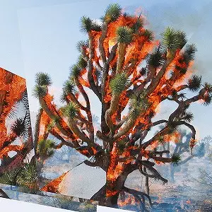 OREN AMBARCHI / KASSEL JAEGER / JAMES RUSHFORD / FACE TIME 