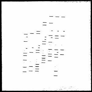 MRVSR / RHYTHM KONTROLADO