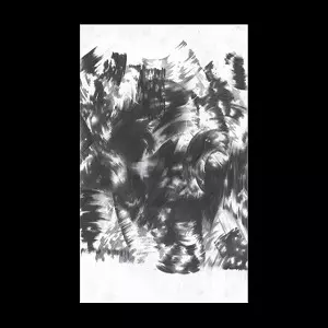 CARRE / GREY SCALE