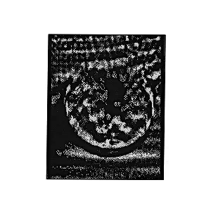 POD BLOTZ / THE VOLTAIC EYE