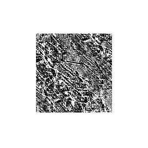 GRANITE MASK / STREAMS