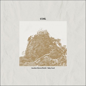 COIL / コイル / ANOTHER BROWN WORLD / BABY FOOD