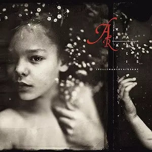 AKIRA RABELAIS商品一覧｜LATIN/BRAZIL/WORLD MUSIC｜ディスクユニオン
