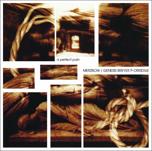 MERZBOW / GENESIS BREYER P-ORRIDGE / メルツバウ / ジェネシス・P・オリッジ / A PERFECT PAIN (CD)