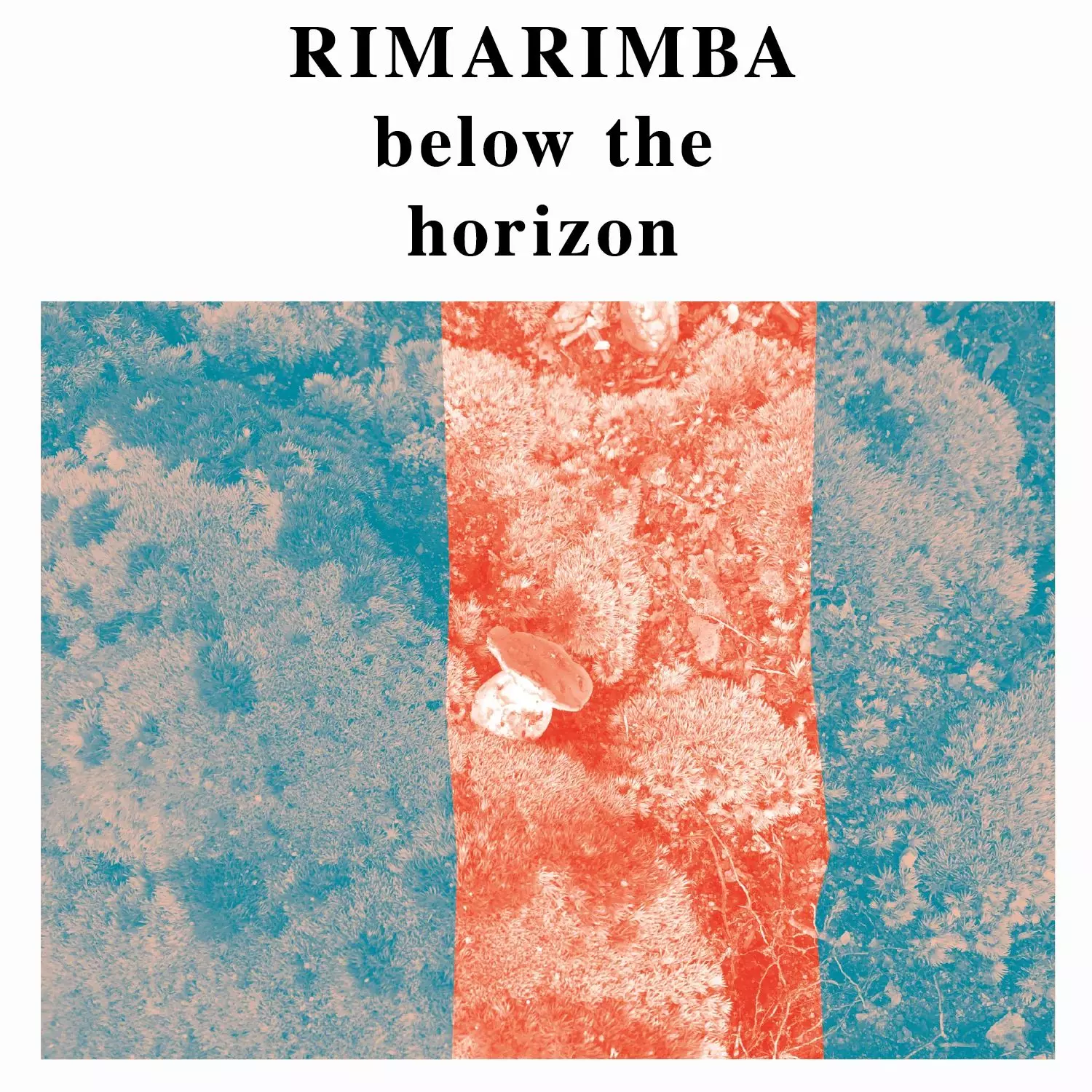 英LP RIMARIMBA on dry land タ 英LP RIMARIMBA on dry land タ