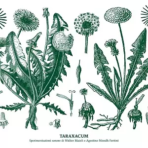 WALTER MAIOLI & NIRODH FORTINI / TARAXACUM (CD)