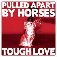 PULLED APART BY HORSES / プルド・アパート・バイ・ホーセズ / TOUGH LOVE