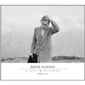 DAVID SYLVIAN / デヴィッド・シルヴィアン / A VICTIM OF STARS 1982-2012 (LIMITED)