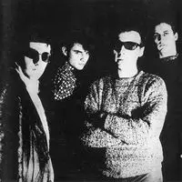 TELEVISION PERSONALITIES / テレヴィジョン・パーソナリティーズ / PAINTED WORD (LP)
