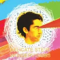 DELICATE STEVE / デリケート・スティーヴ / ワンダービジョンズ [WONDERVISIONS]