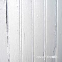 BEACH FOSSILS / ビーチ・フォッシルズ / BEACH FOSSILS (LP)