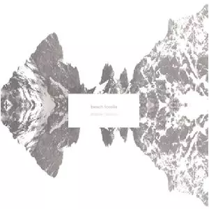 SHALLOW/BEACH FOSSILS/ビーチ・フォッシルズ｜ROCK / POPS / INDIE