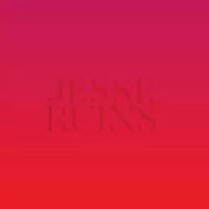 JESSE RUINS / ジェシー・ルインズ / A BOOKSHELF SINKS INTO THE SAND