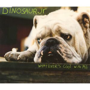DINOSAUR JR. / ダイナソー・ジュニア / WHATEVER'S COOL WITH ME