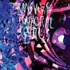 ANIMAL COLLECTIVE / アニマル・コレクティヴ / TRANSVERSE TEMPORAL GYRUS (12") 【RECORD STORE DAY 4.21.2012】