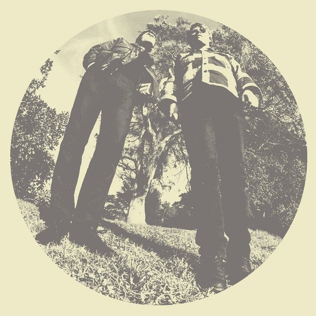 TY SEGALL & WHITE FENCE / タイ・セガール・アンド・ホワイト・フェンス / HAIR (LP) 【RECORD STORE DAY 4.21.2012】