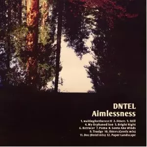 【中古】 Aimlessness Dntel DNTEL / ドゥンテル商品一覧｜JAZZ｜ディスクユニオン