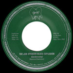 JON SPENCER BLUES EXPLOSION / ジョン・スペンサー・ブルース・エクスプロージョン / GADZOOKS (7")