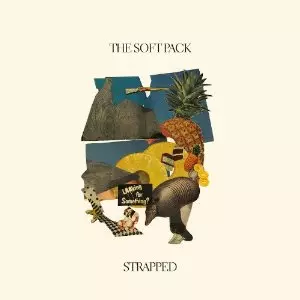 The Soft Pack LPレコード 極美品｜レコード9枚組｜ボックス‥山下達郎〔LP Box 1976-1982