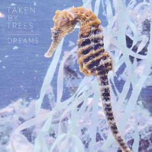 TAKEN BY TREES / テイクン・バイ・トゥリーズ商品一覧｜OLD ROCK