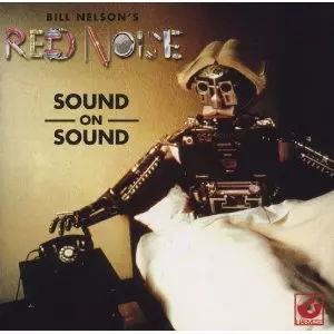 BILL NELSON'S RED NOISE / ビル・ネルソンズ・レッド・ノイズ / SOUND ON SOUND