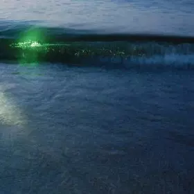 EMERALDS (US) / エメラルズ / EMERALDS