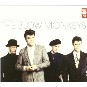 BLOW MONKEYS / ブロウ・モンキーズ / DIGGING YOUR SCENE: BEST OF (2CD)