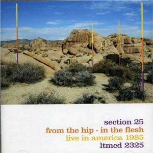 SECTION 25 / セクション25 / FROM THE HIP - IN THE FLESH (LIVE)