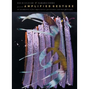 デヴィッド・シルヴィアン / AMPLIFIED GESTURE (DVD)