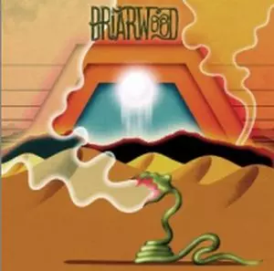 WOODEN WAND / ウッデン・ワンド / BRIARWOOD / ブライアウッド 