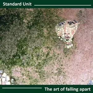 STANDARD UNIT / ART OF FALLING APART