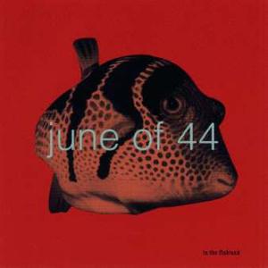 JUNE OF 44 / IN THE FISHTANK 6