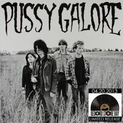 PUSSY GALORE / プッシー・ガロア / GROOVY HATE FUCK (12") 