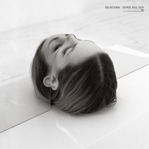 NATIONAL / ナショナル / TROUBLE WILL FIND ME (2LP) 