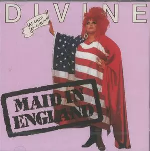 DIVINE / ディヴァイン商品一覧｜PUNK｜ディスクユニオン・オンライン