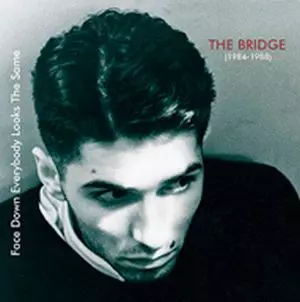 BRIDGE (UK) / ブリッジ (UK) / FACE DOWN EVERYBODY LOOKS THE SAME