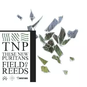 ★ These New Puritans レコード LP FIELD OF REEDS (LP)/THESE NEW PURITANS/ジーズ・ニュー