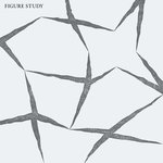 FIGURE STUDY / FIGURE STUDY (LP)